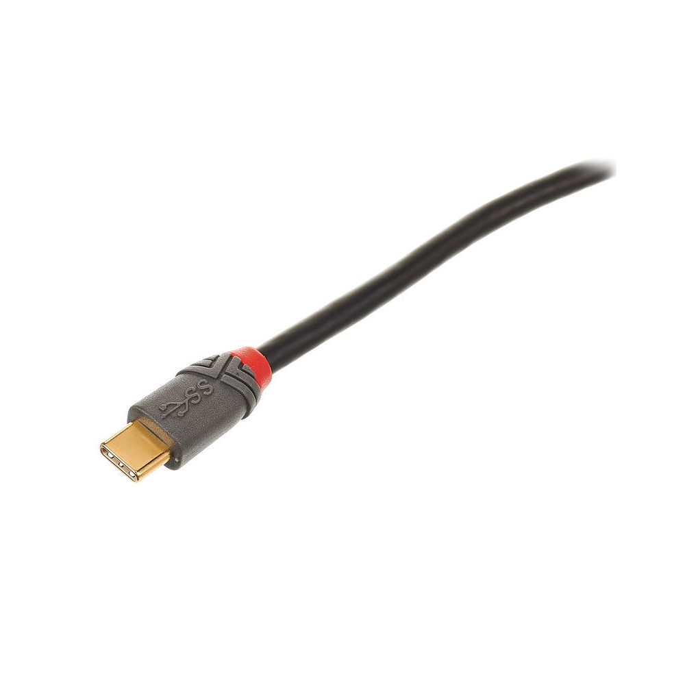 Lindy USB 3.1 Typ C Adapterkabel – Thomann Ireland
