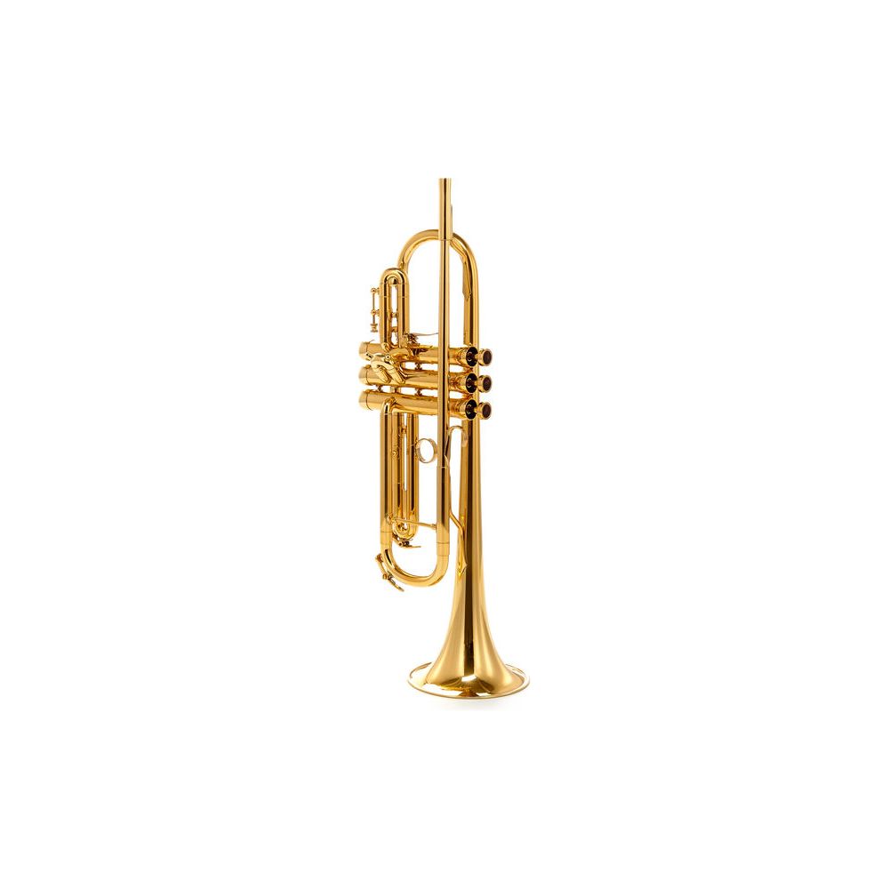 Adams A6 Brass 045 Selected Lacquer – Thomann Ireland