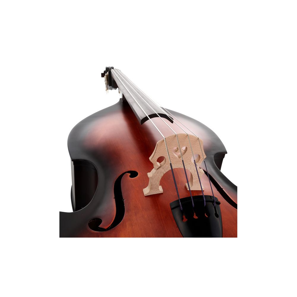 Thomann 111TS 3/4 Double Bass – Thomann Ireland