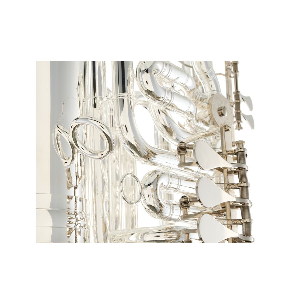 Thomann "Thunderbird" S F