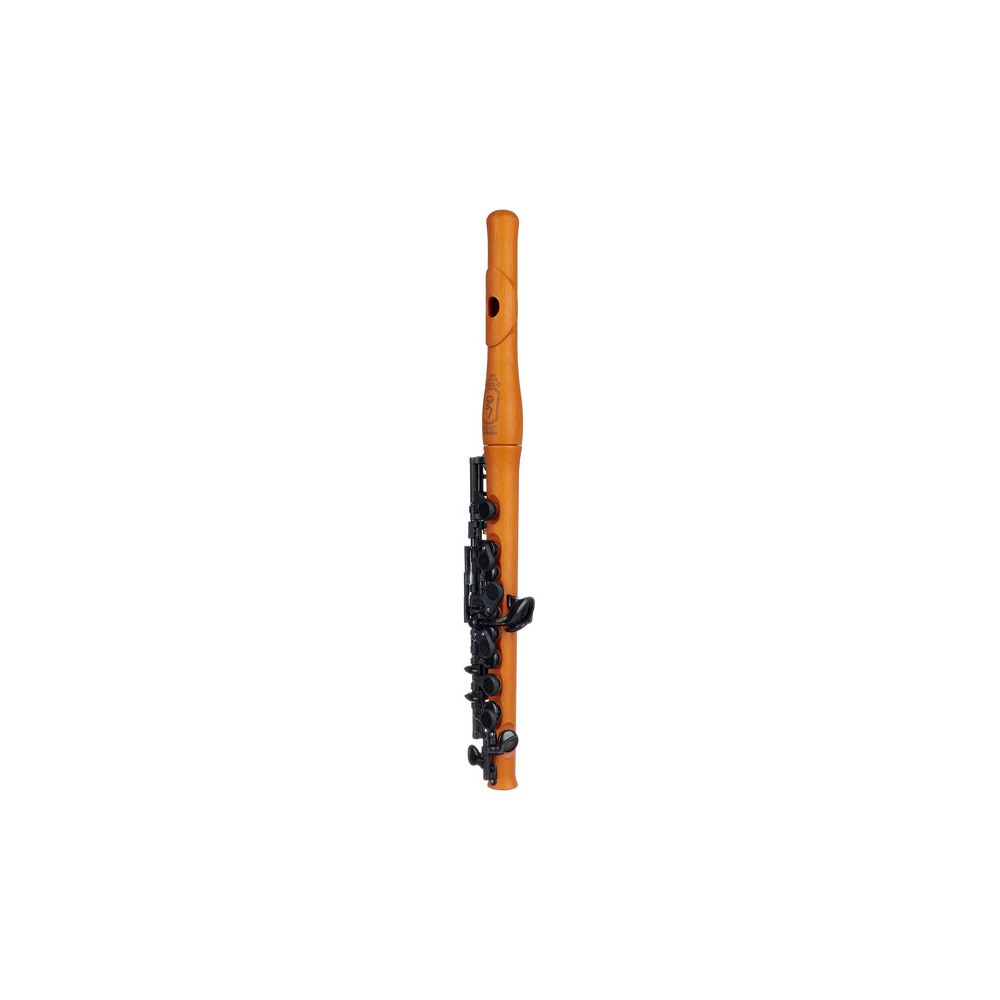 Guo New Voice Piccolo Flute Brown – Thomann Ireland