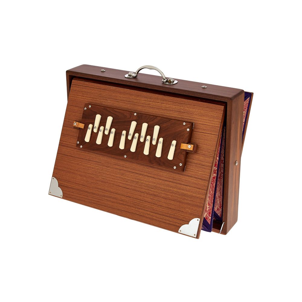 Thomann Nataraj Prof. Shruti Box Male – Thomann Ireland