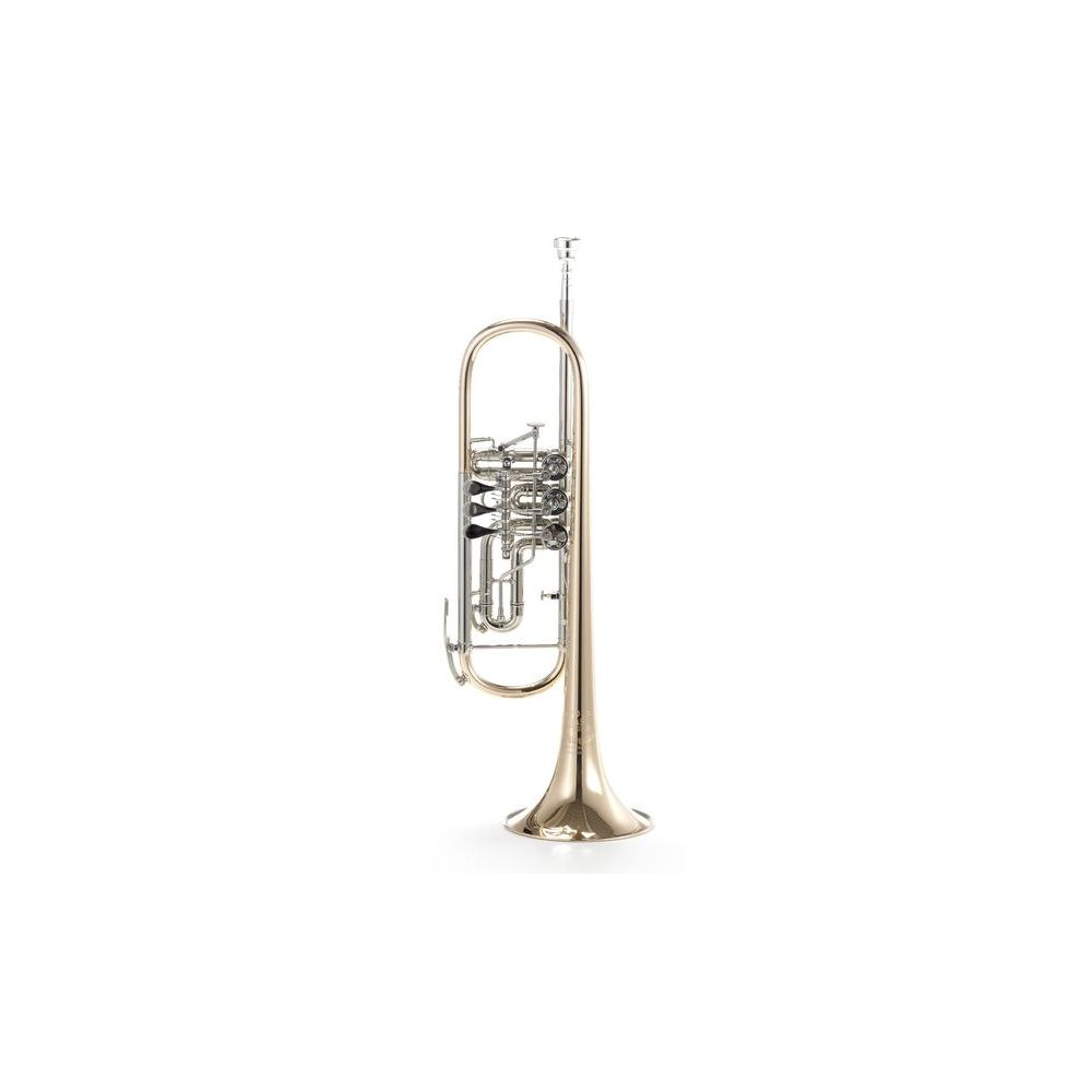 B&S 3005 WTR