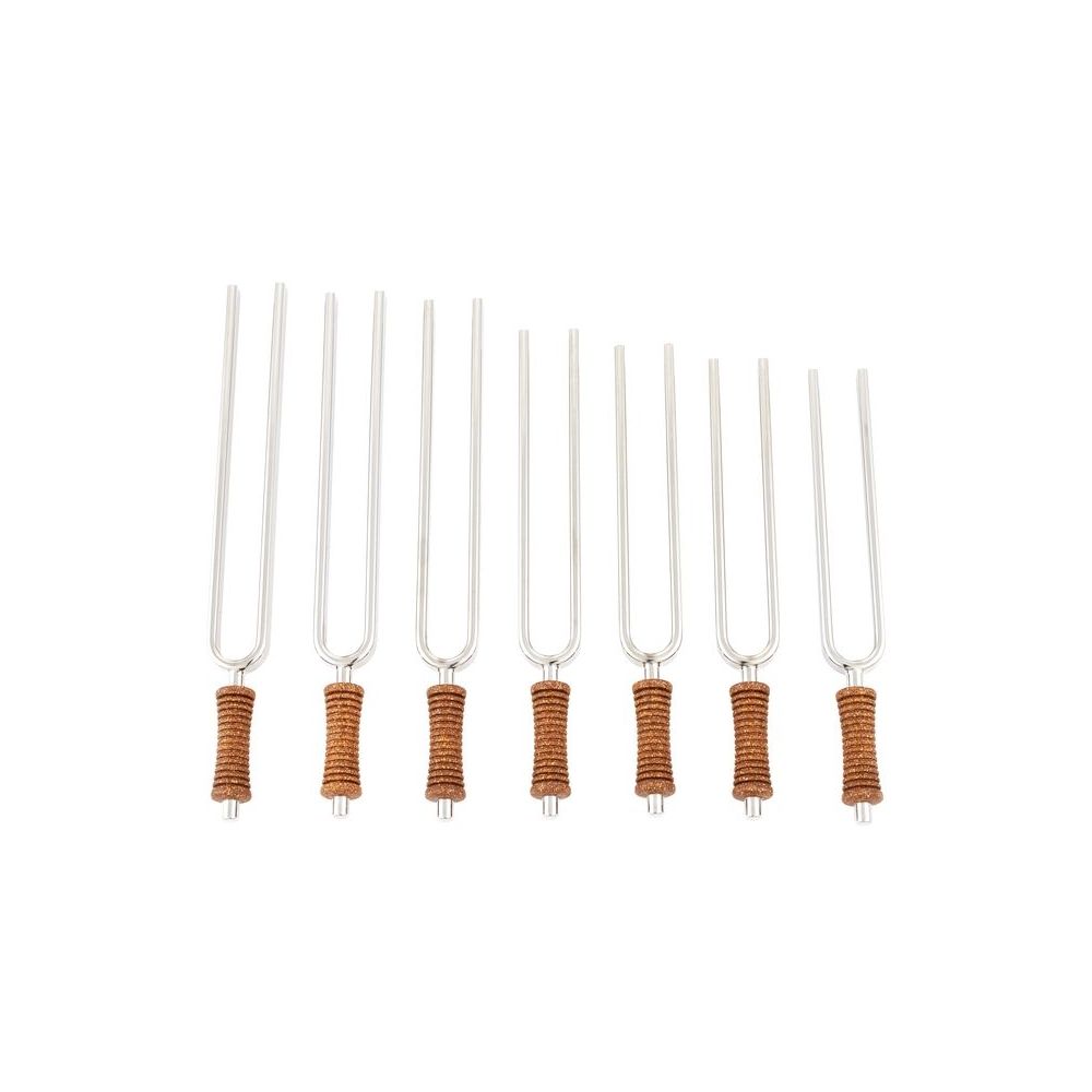 Meinl Tuning Fork Set TF