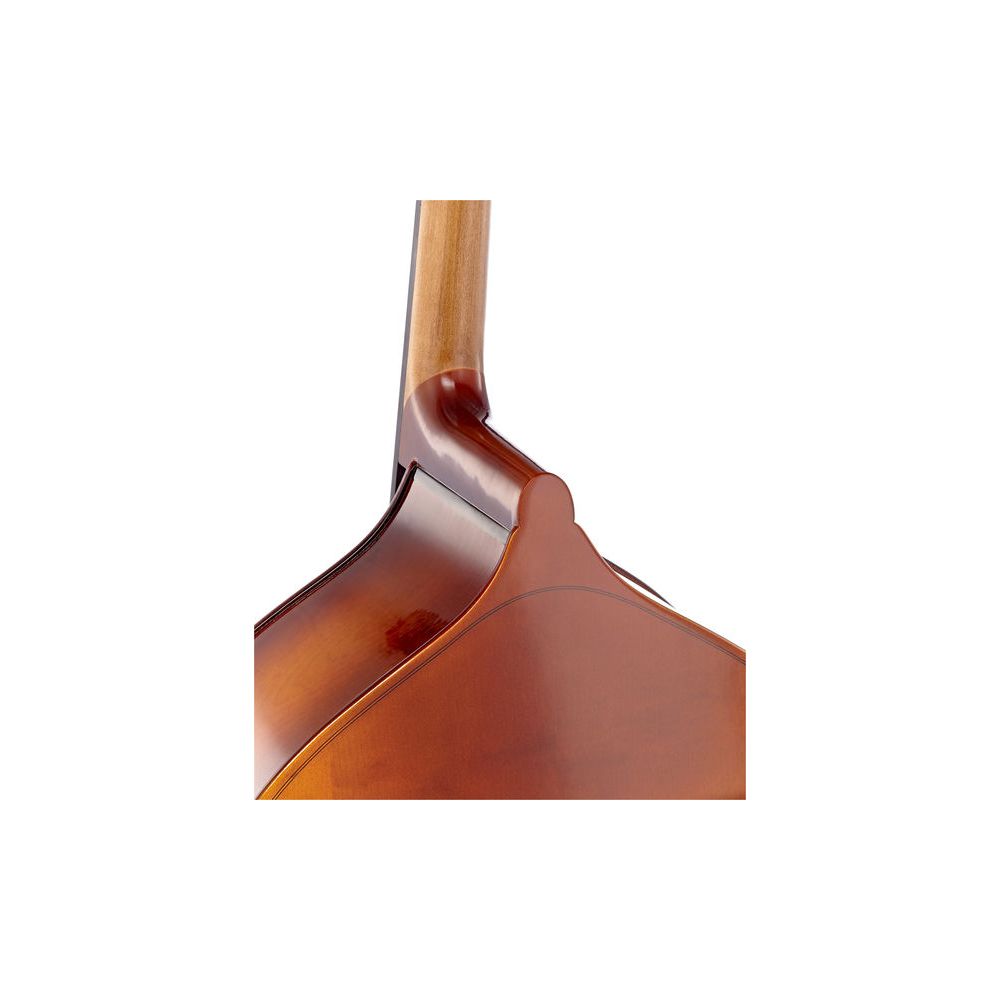 Thomann 33 3/4 Europe Double Bass – Thomann Ireland