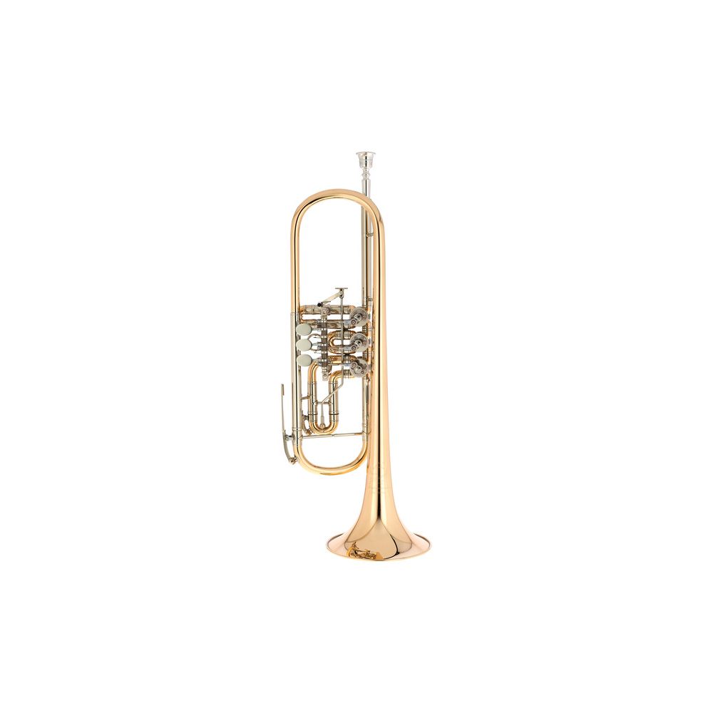 Johannes Scherzer 8218W