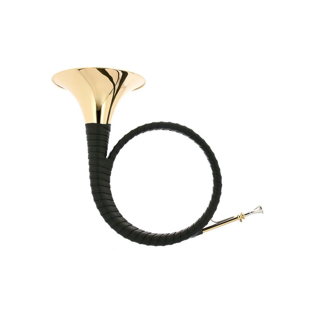 Dotzauer Parforce Horn in Bb 18315 – Thomann Ireland