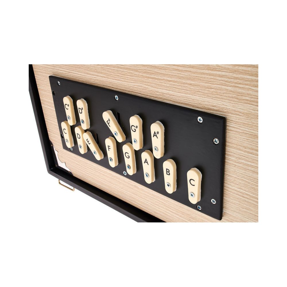 Thomann Nataraj Surpeti Shruti Box Mal – Thomann Ireland