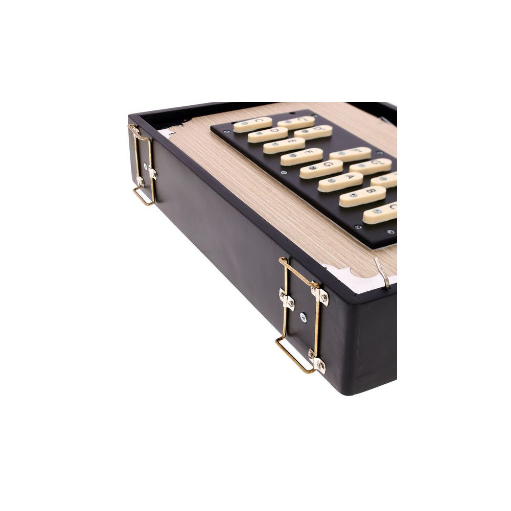 Thomann Nataraj Surpeti Shruti Box Mal – Thomann Ireland