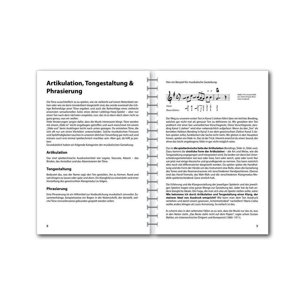 Voggenreiter Der Blues