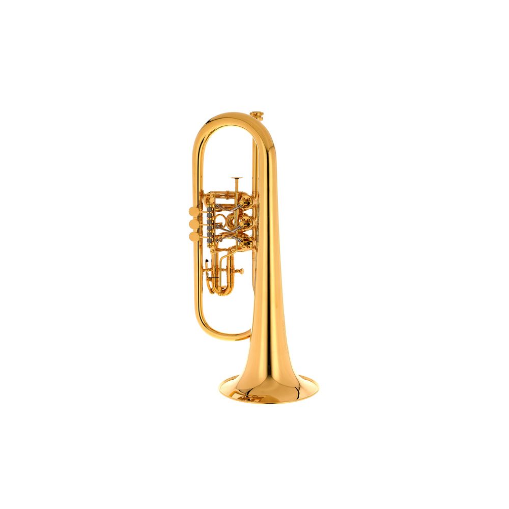 Peter Oberrauch Rosengarten Flgh 10,95 GP – Thomann Ireland