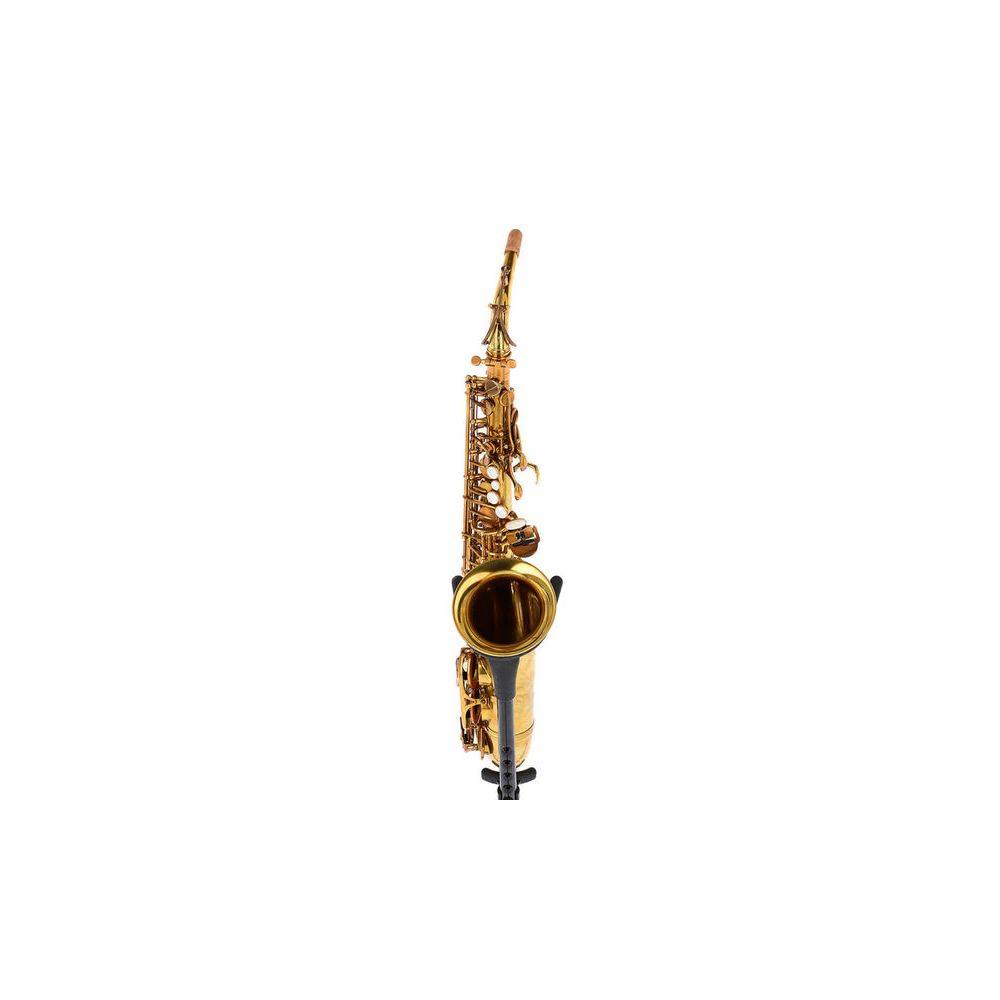 Forestone GX Cognac Vintage Alto Sax – Thomann Ireland