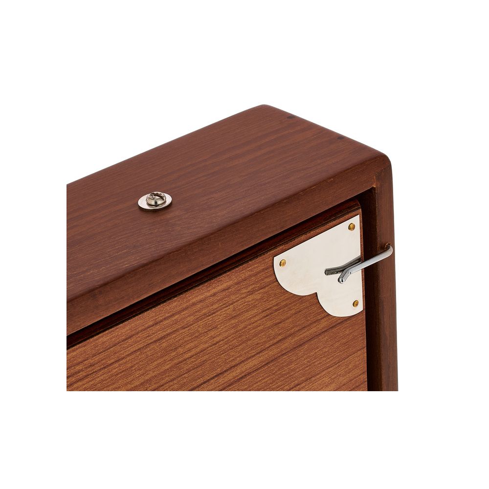 Thomann Nataraj Shruti C