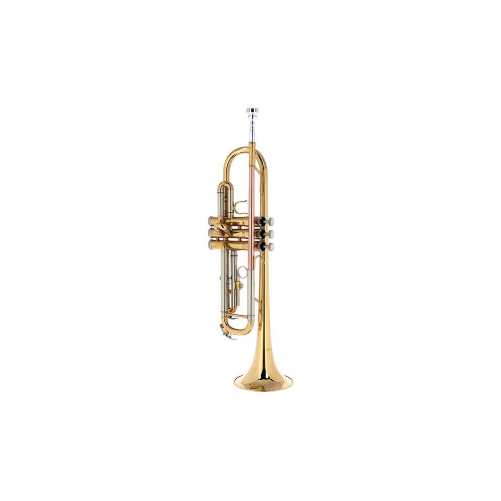 Startone STR 25 Bb
