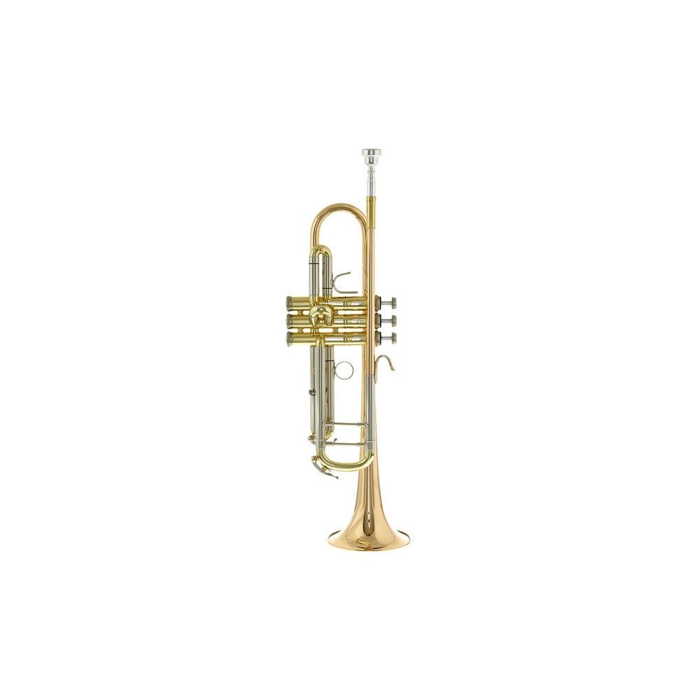 B&S 3143/2GLB