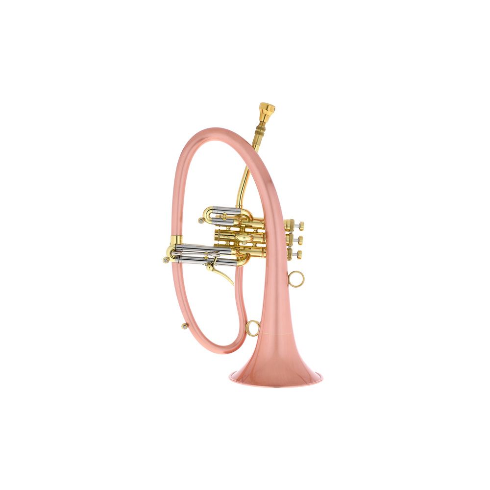 Taylor Trumpets Phat Boy – Thomann Ireland