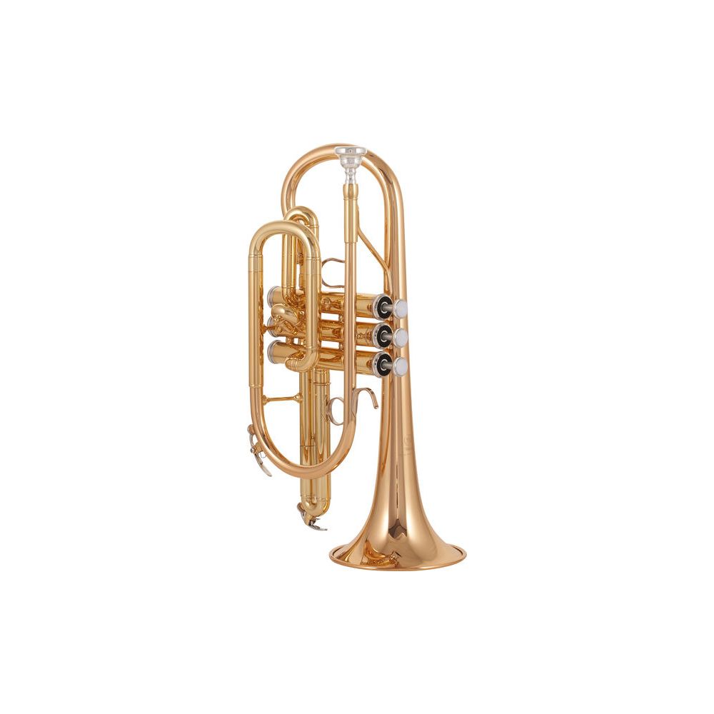 Yamaha YCR