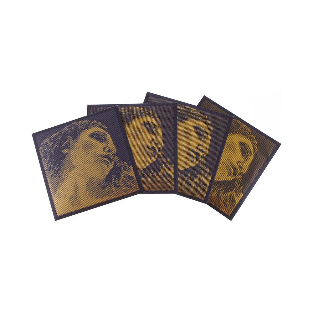 Pirastro Evah Pirazzi Gold G