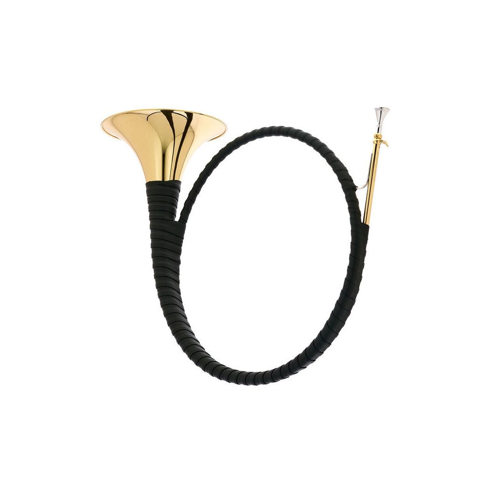 Dotzauer Parforce Horn in Bb 18215 – Thomann Ireland