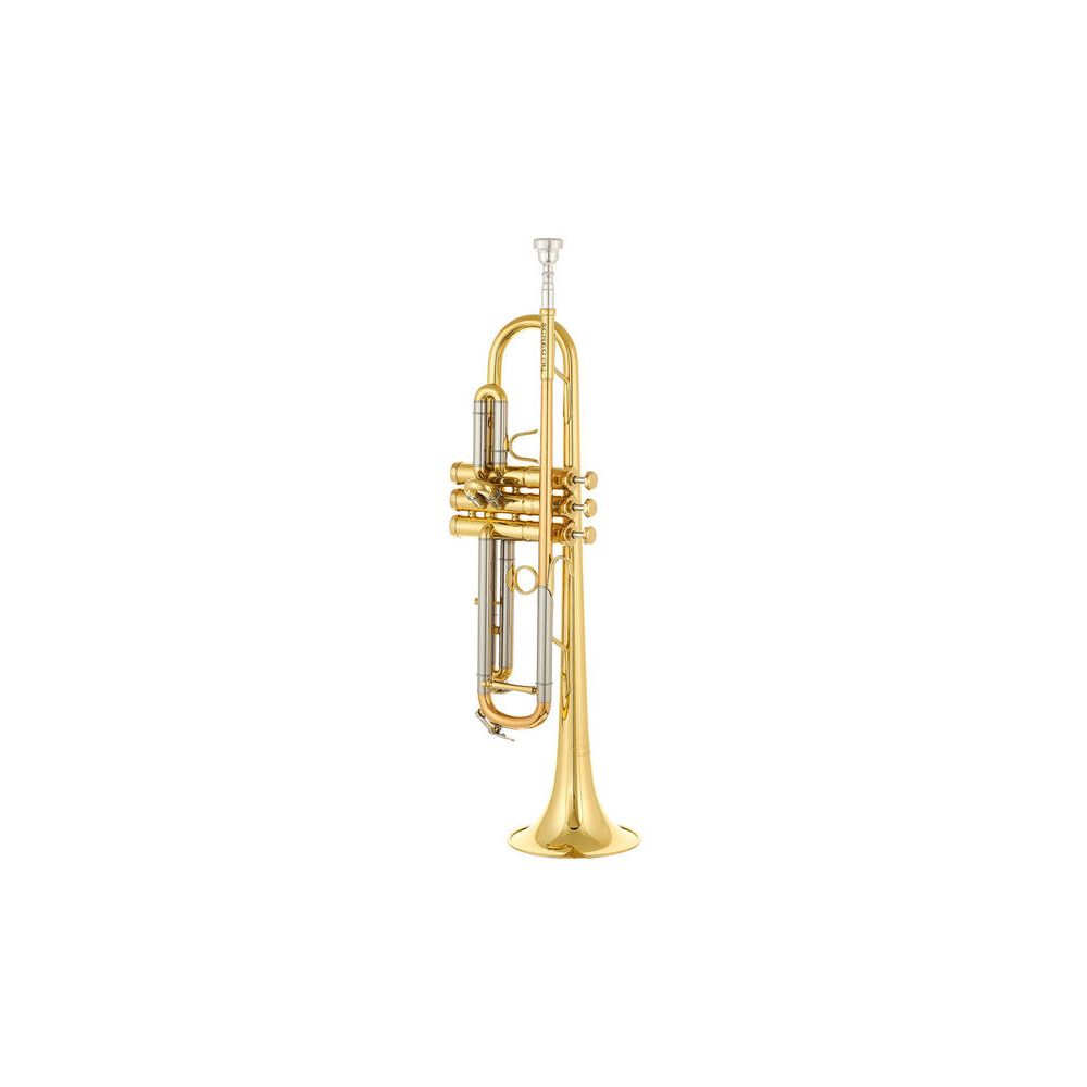 Schagerl TR