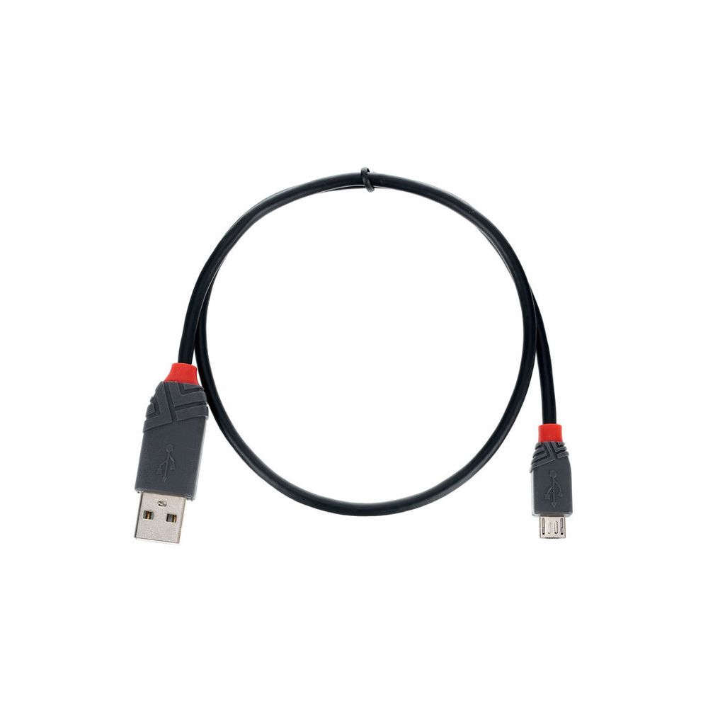 Lindy USB 2.0 Typ A/Micro