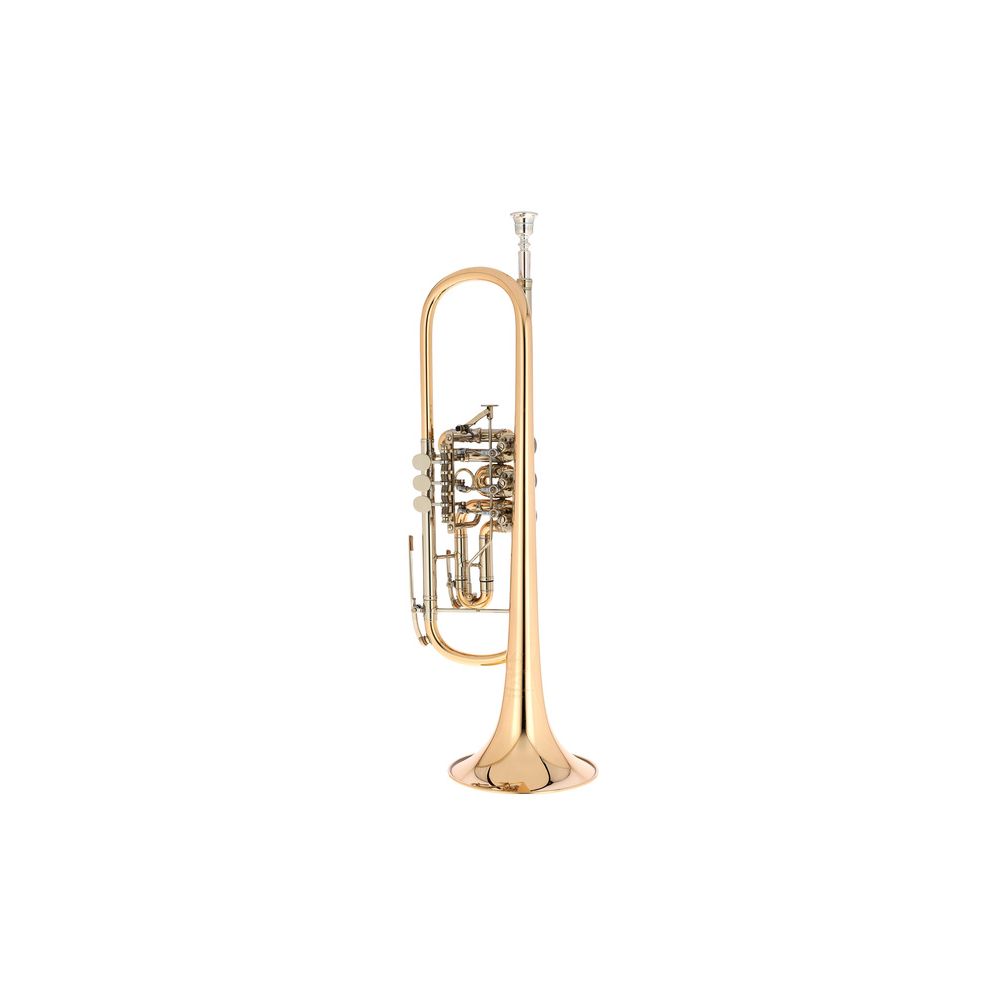 Johannes Scherzer 8218W