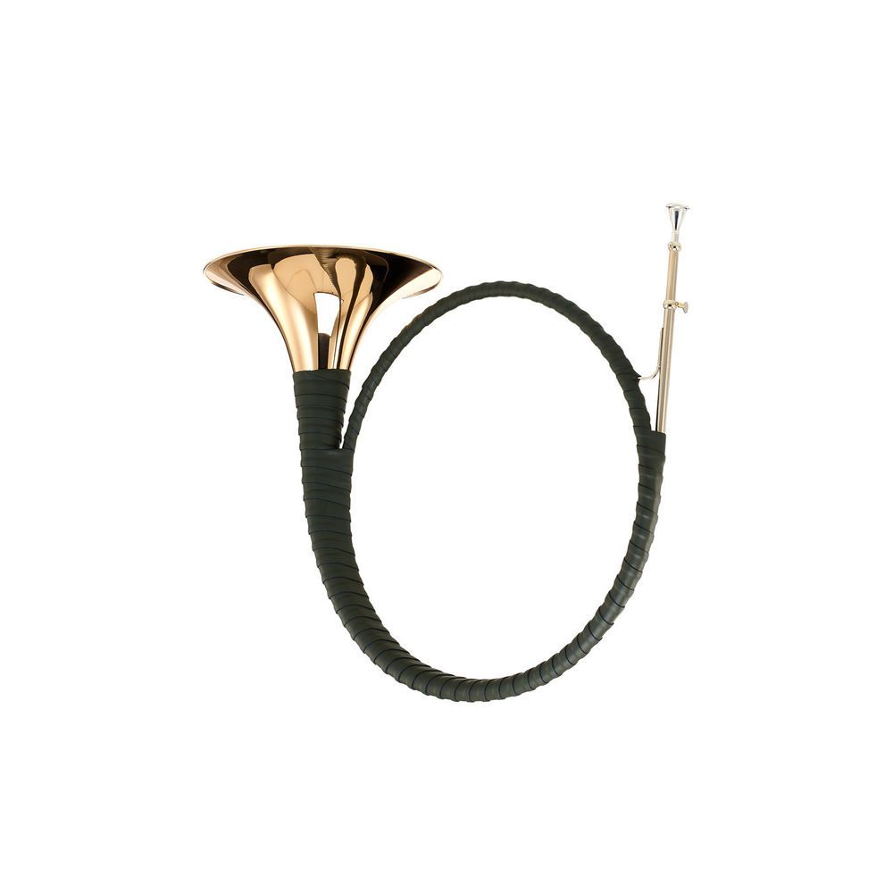 Dotzauer Parforce Horn in Bb 18216 – Thomann Ireland
