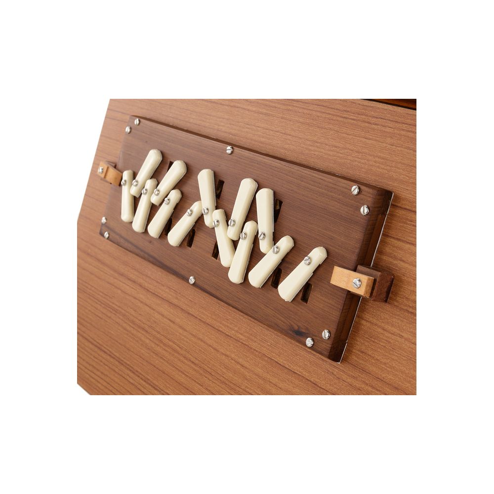 Thomann Nataraj Prof. Shruti Box Fem. – Thomann Ireland