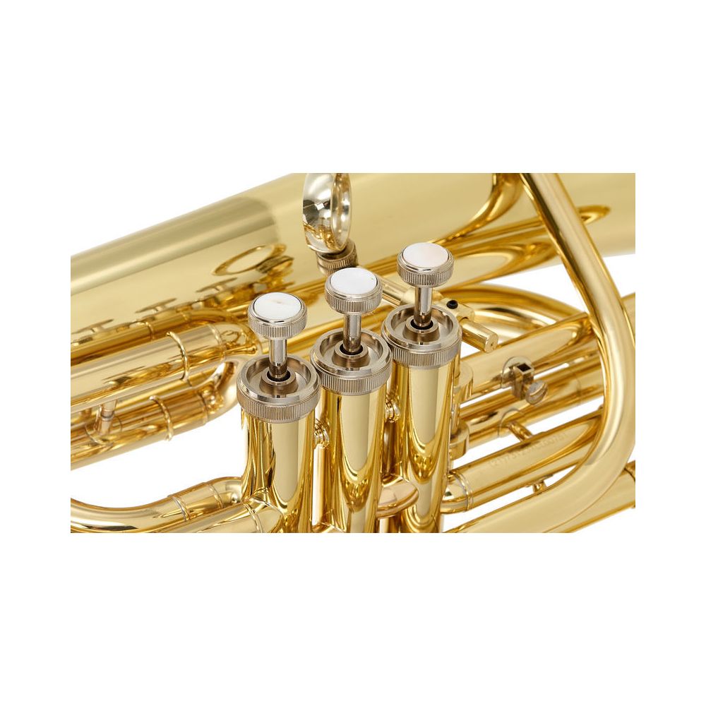 Thomann Little Lion Bb