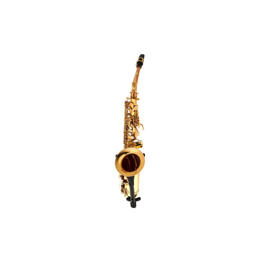 Schagerl Academia Alto Sax A