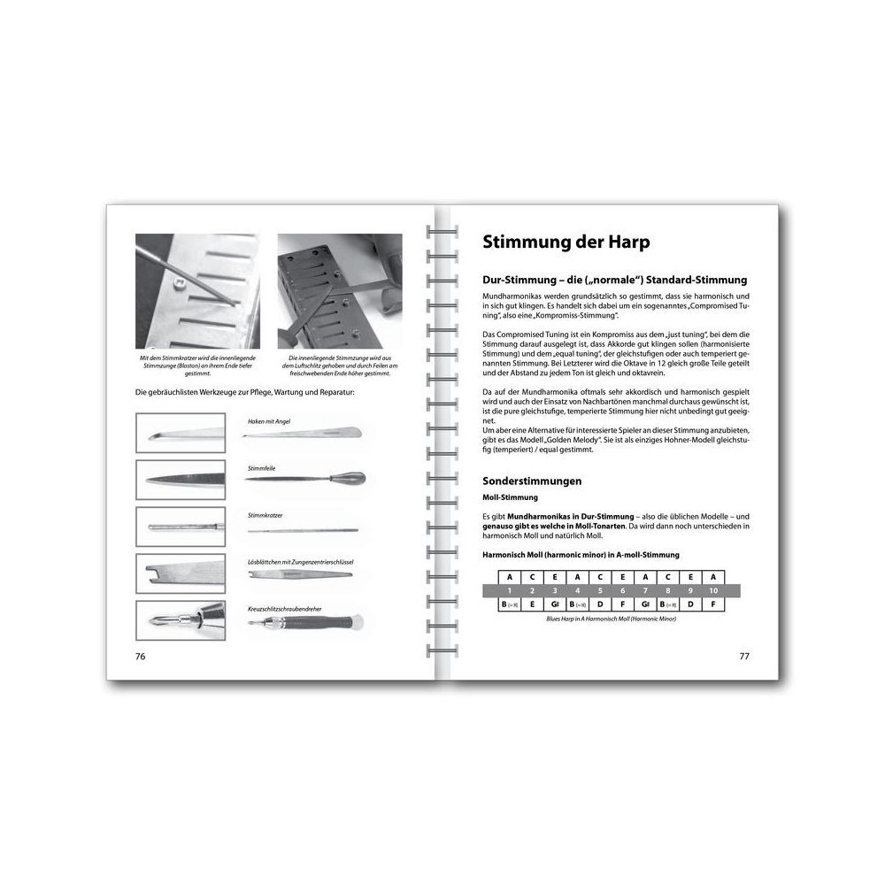 Voggenreiter Der Blues