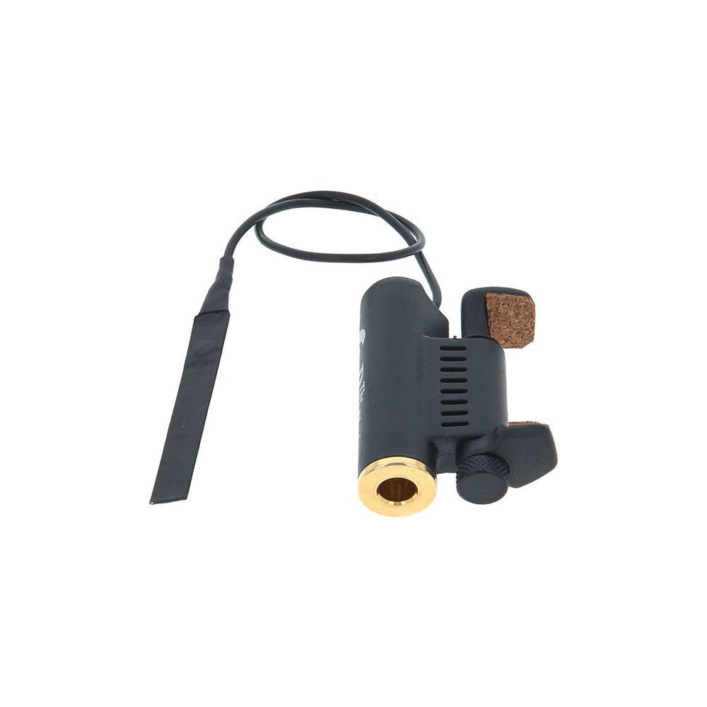 David Gage The Realist Violin – Thomann Ireland