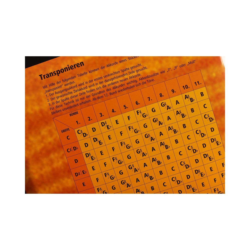 Voggenreiter Poster Electric Guitars – Thomann Ireland