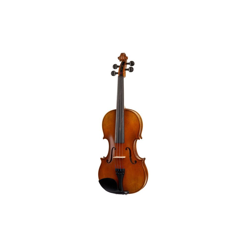 Karl Höfner Allegro 4/4 Violin Outfit – Thomann Ireland