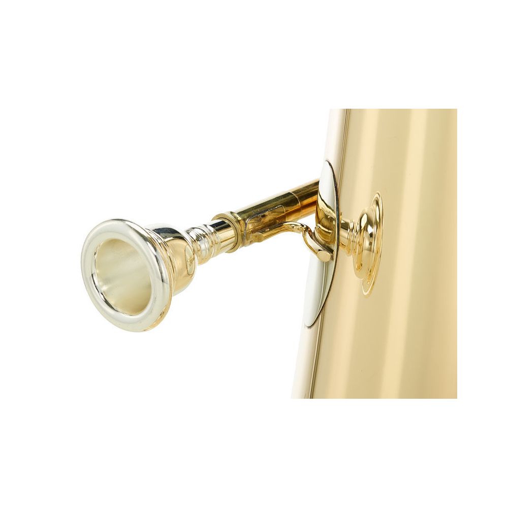 Thomann Fireball GM RAW F