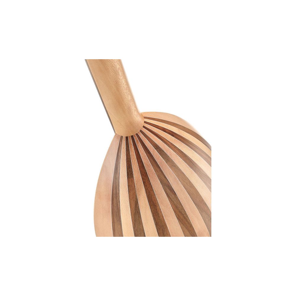 Thomann Steel String Lute Guitar – Thomann Ireland