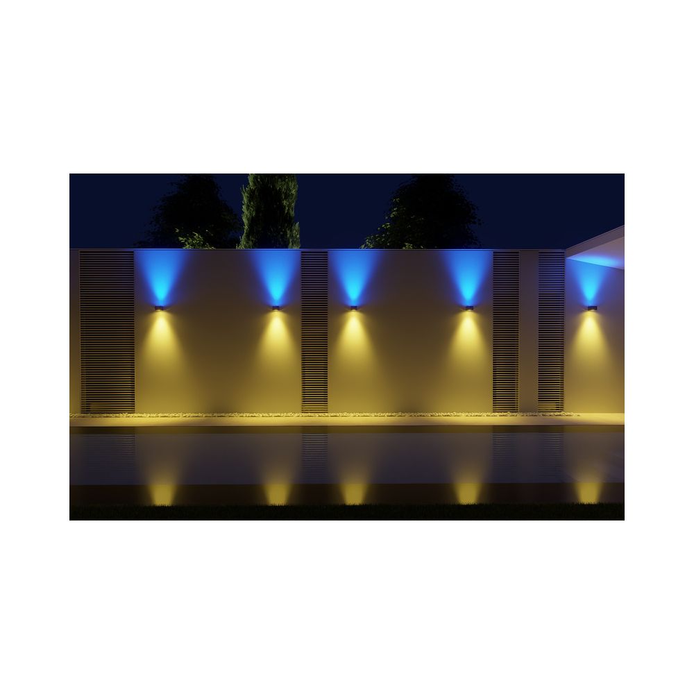 Ape Labs Double Wall Maxi V2 45° Creme – Thomann Ireland