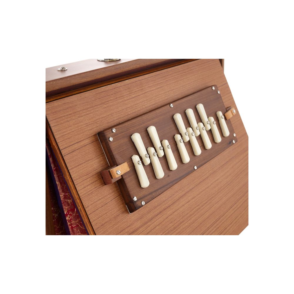 Thomann Nataraj Prof. Shruti Box Fem. – Thomann Ireland