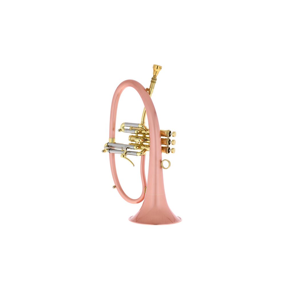 Taylor Trumpets Phat Boy – Thomann Ireland