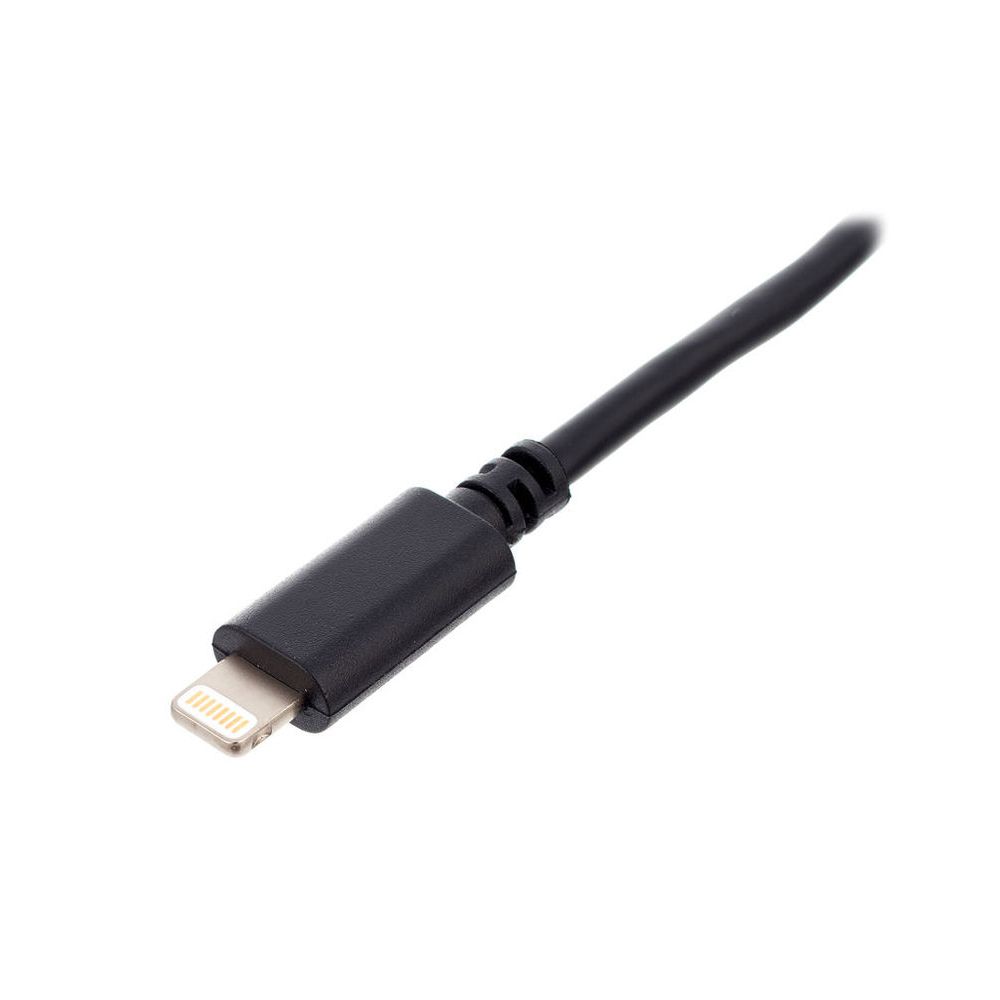 IK Multimedia Lightning to Mini