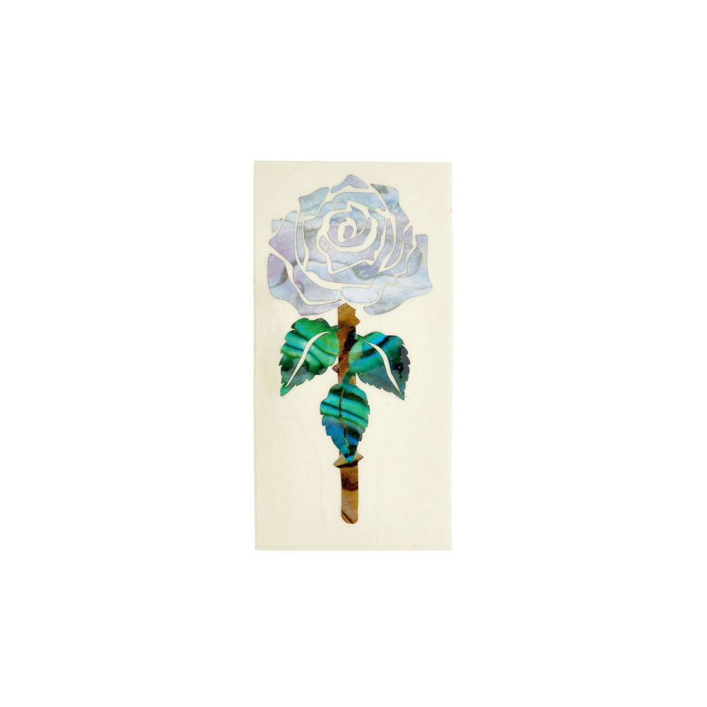 Jockomo Cash Rose – Thomann Ireland