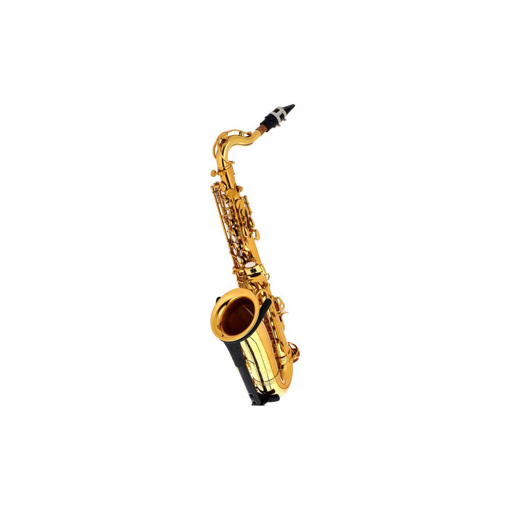 Thomann Little Bee Kids Saxophone Set – Thomann Ireland