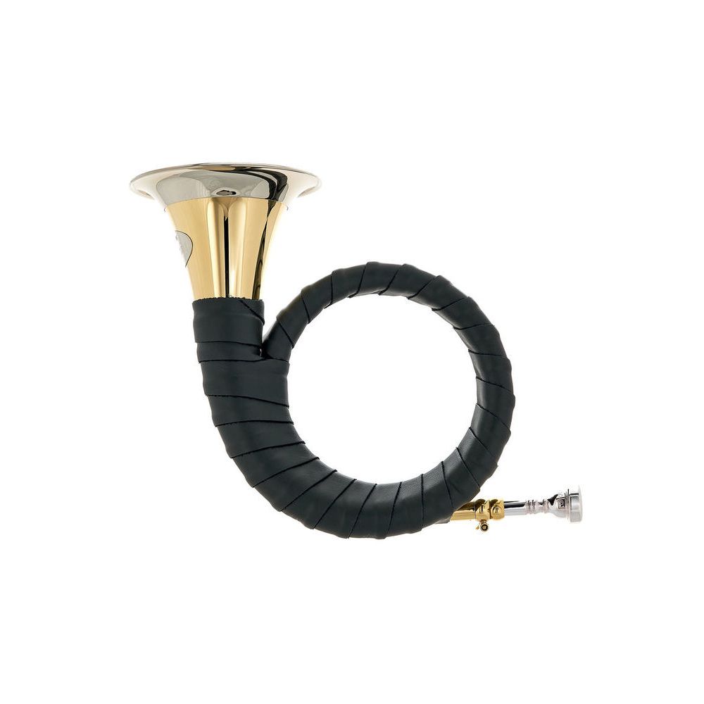 Dotzauer Fürst Pless in Bb 18815 L Set – Thomann Ireland