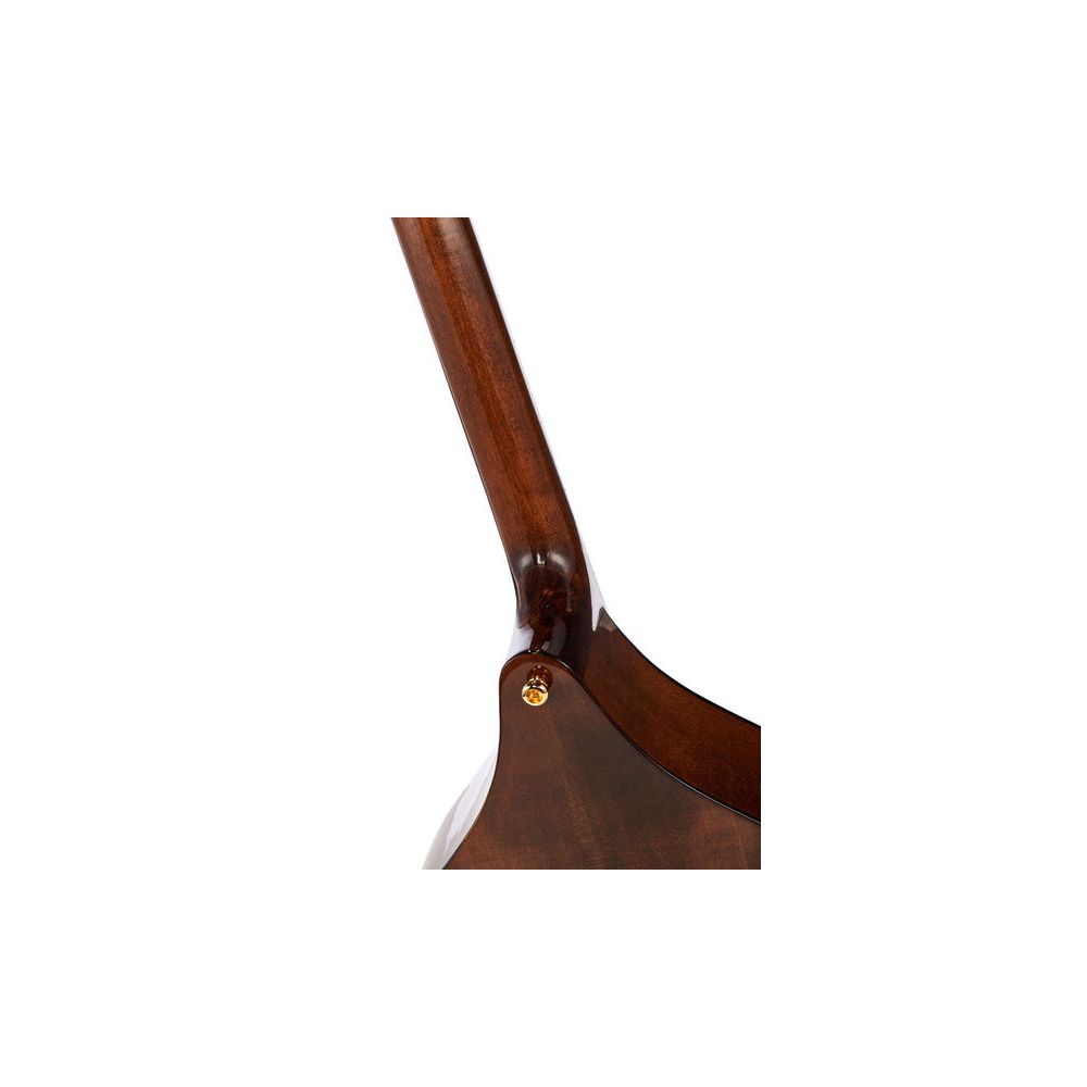 Thomann Irish Concert Bouzouki – Thomann Ireland