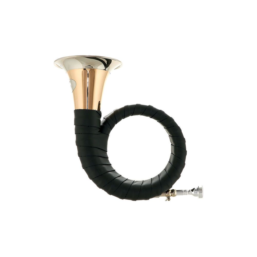 Dotzauer Meister Bb Horn 18825 Set – Thomann Ireland