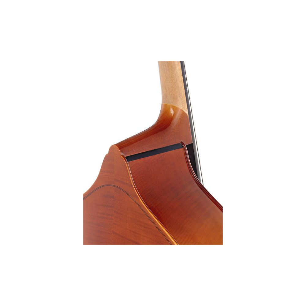 Thomann 22 1/4 Europe Double Bass – Thomann Ireland