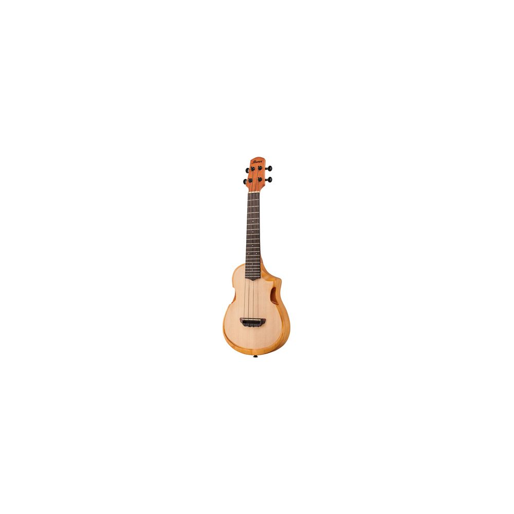 Ibanez AUC10E