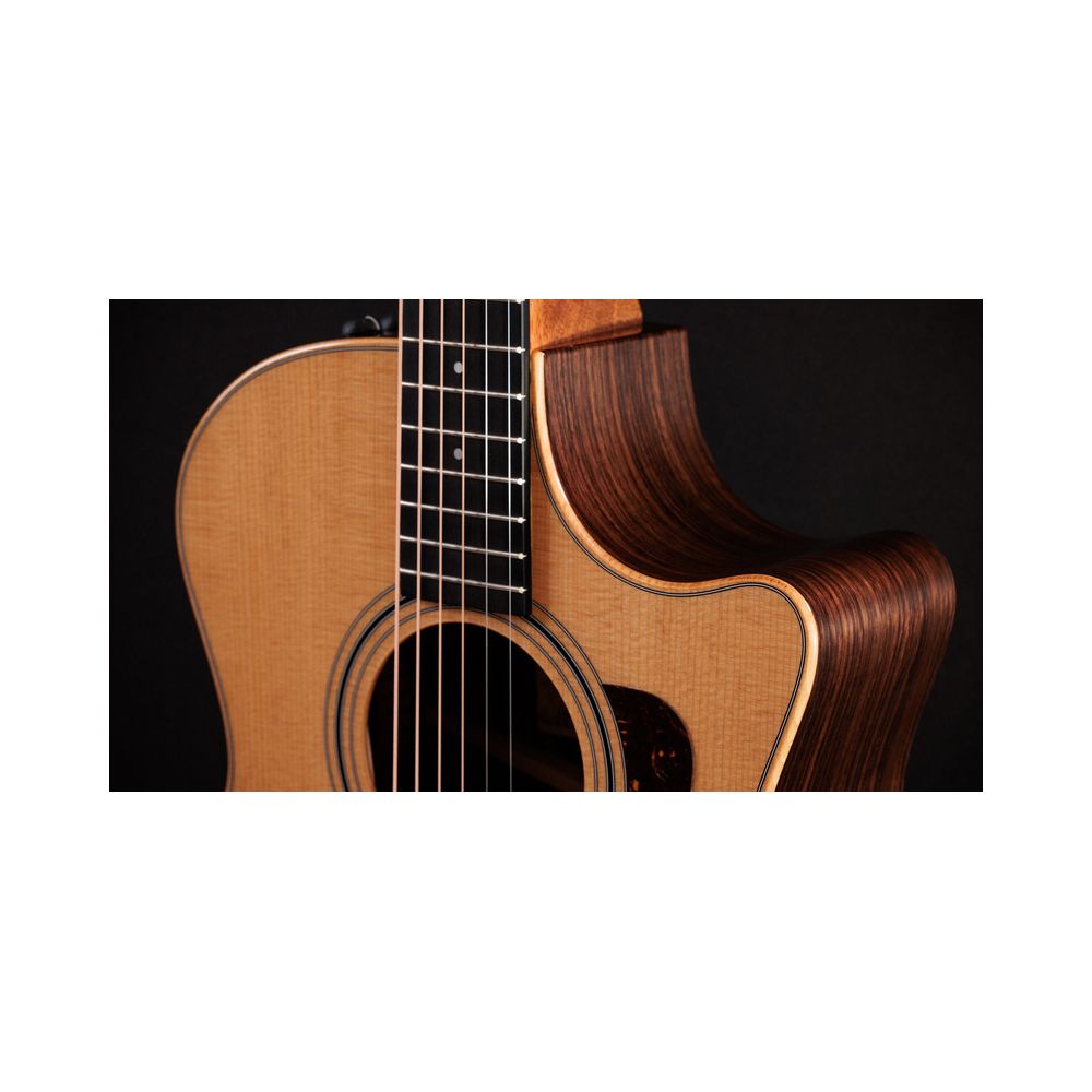 Taylor 414ce Studio – Thomann Ireland