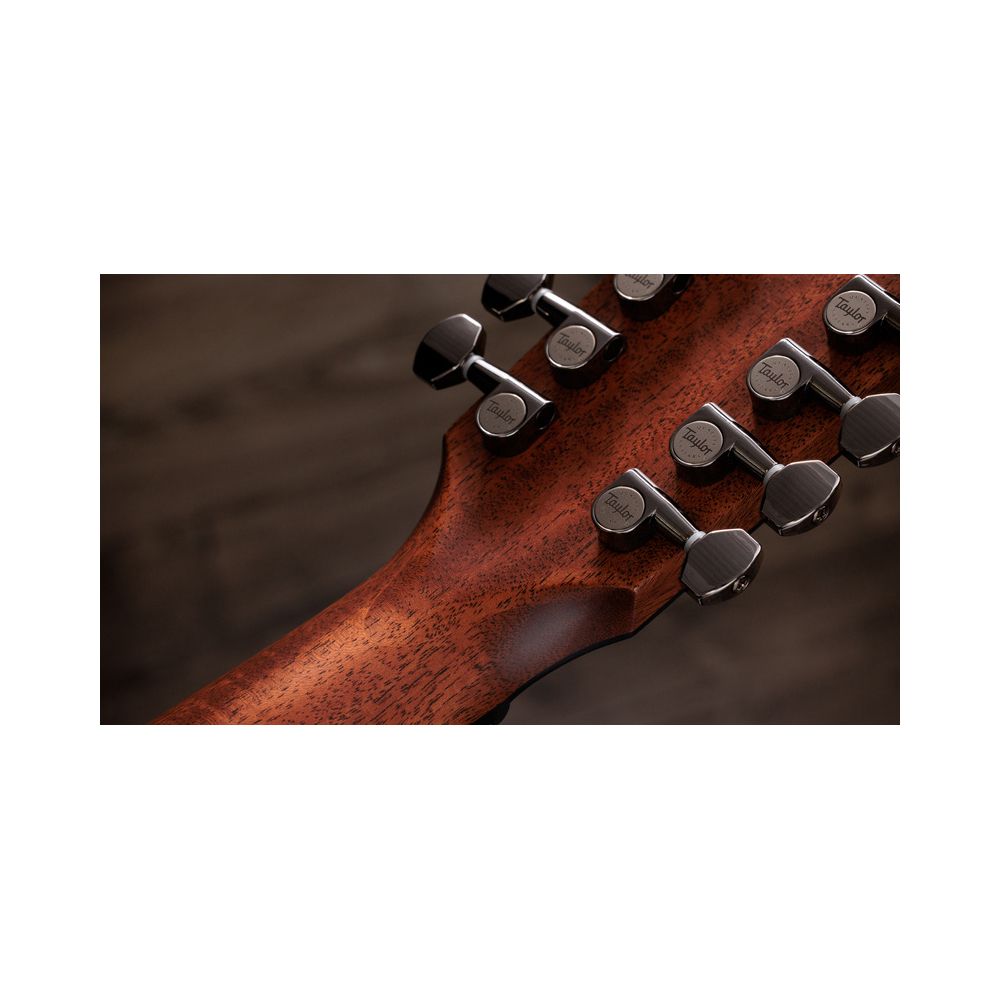 Taylor 854ce – Thomann Ireland