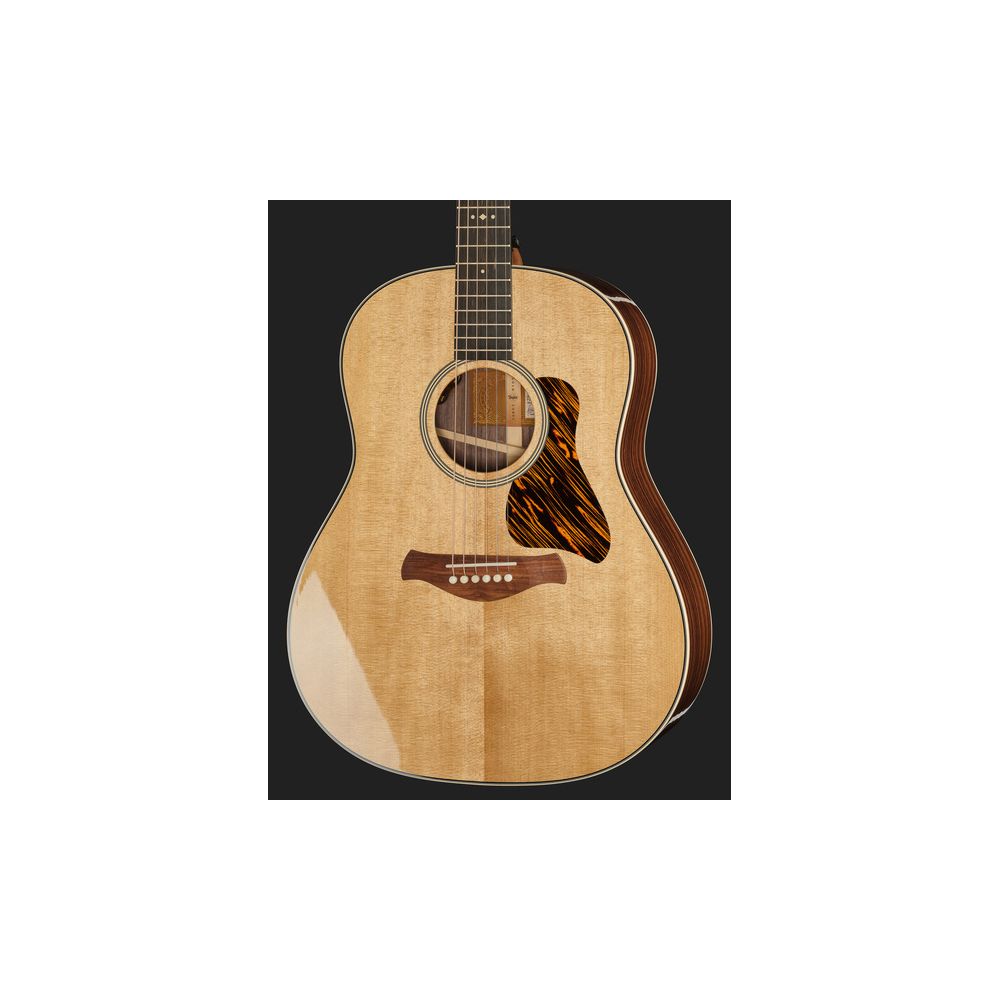 Taylor Gold Label 717e – Thomann Ireland